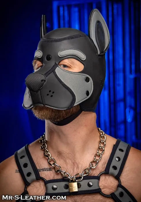 Build Your Own Neoprene FRISKY Puppy Hood | Sm / XL / XXL