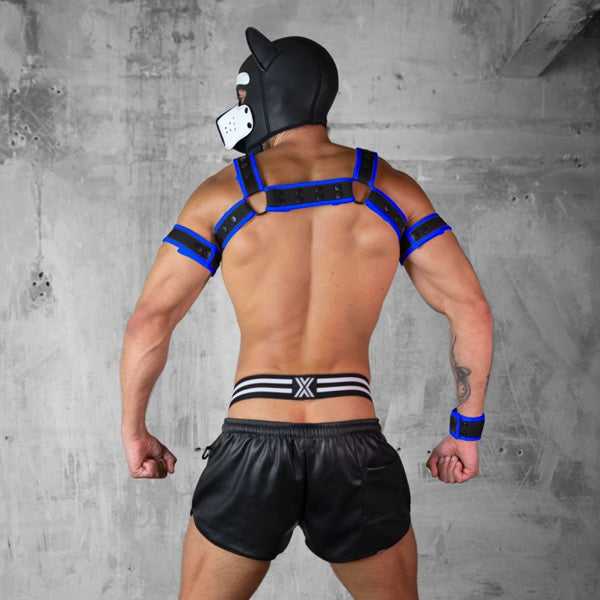 Boxer Barcelona Neon Rave Bracer Harness - Black/Blue