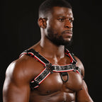 Strapp Metal Varsity Bulldog Harness - Black/Red/White - image 3