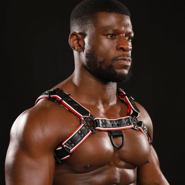Strapp Metal Varsity Bulldog Harness - Black/Red/White - image 3