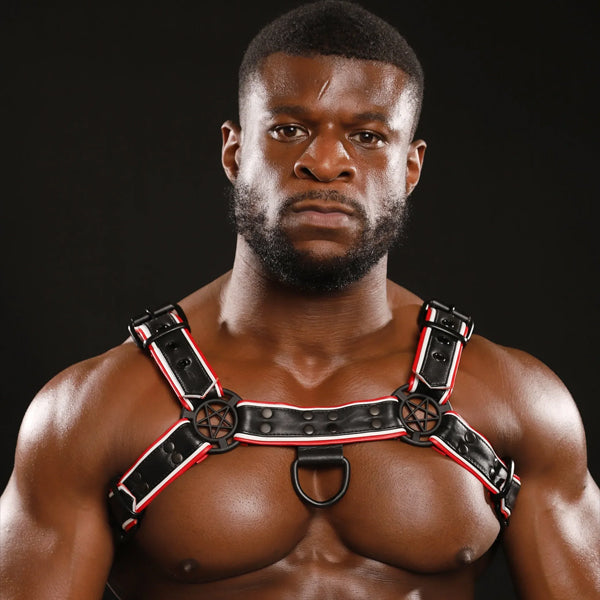Strapp Metal Varsity Bulldog Harness - Black/Red/White