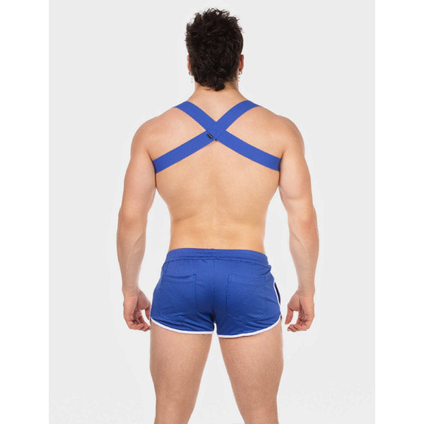 Barcode Berlin Short Norfok - Royal - image 2