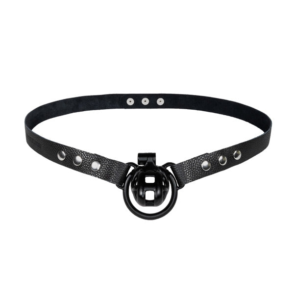 Lustful Lavish 1" Chastity Belt Strap - Black Classic