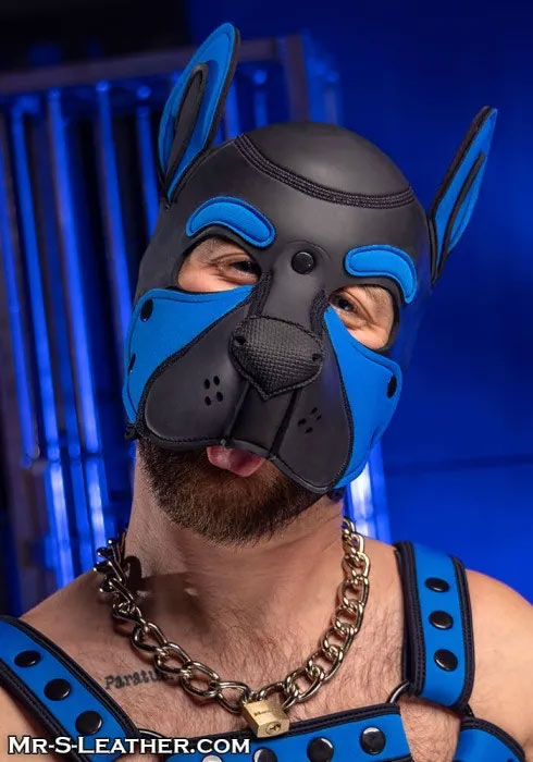 Build Your Own Neoprene FRISKY Puppy Hood | Sm / XL / XXL
