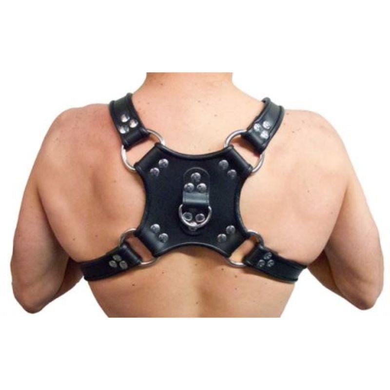 Mister B Leather WALKING HARNESS | Black