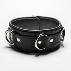 Mr S Leather LOCKING Collar by Fetters USA