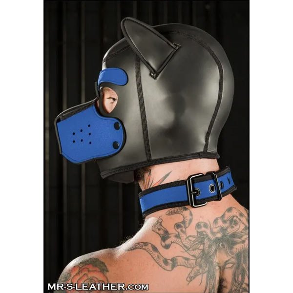 Mr S Leather NEO Puppy Collar Cobalt