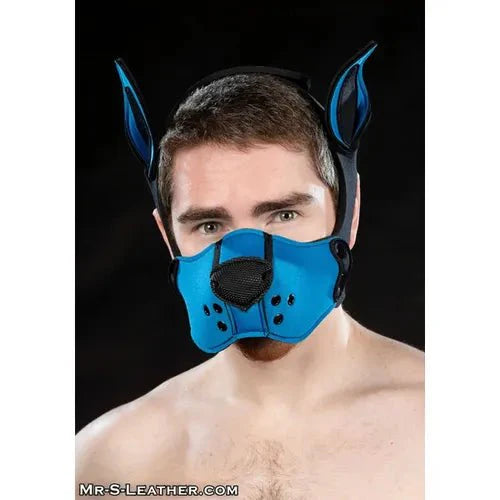Mr. S Leather  Neoprene K9 Muzzle Kit - Cobalt
