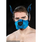 Mr. S Leather  Neoprene K9 Muzzle Kit - Cobalt