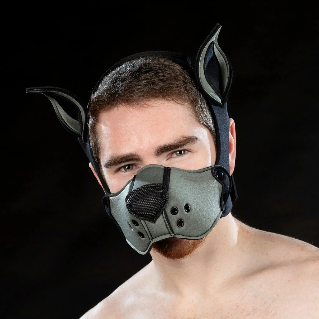 Mr. S Leather  Neoprene K9 Muzzle Kit - Grey