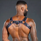 Mr. S Leather Piped Bulldog Harness Black/Blue