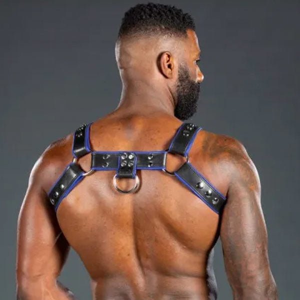 Mr. S Leather Piped Bulldog Harness Black/Blue