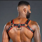 Mr. S Leather Piped Bulldog Harness Black/Red