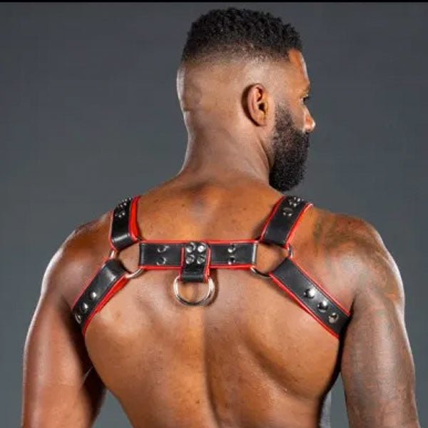 Mr. S Leather Piped Bulldog Harness Black/Red