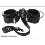 Mr S Leather Wrist to Ball Restraint