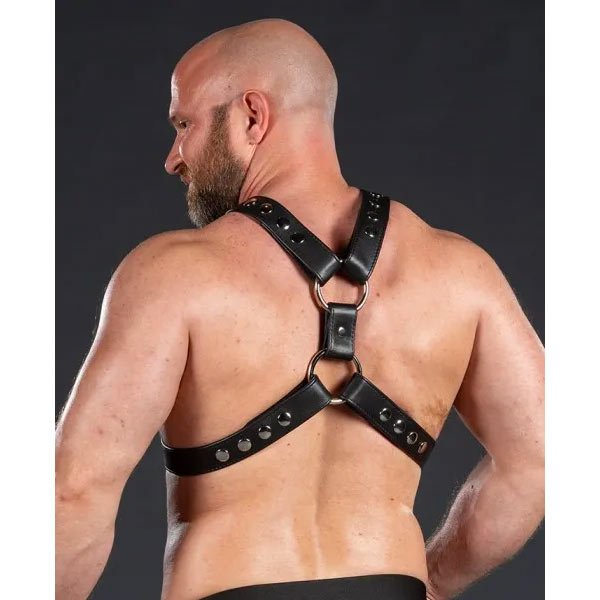 Mr.S Leather English Top Buckle Harness - Garment Black