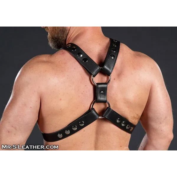 Mr.S Leather English Top Buckle Harness - Garment Black