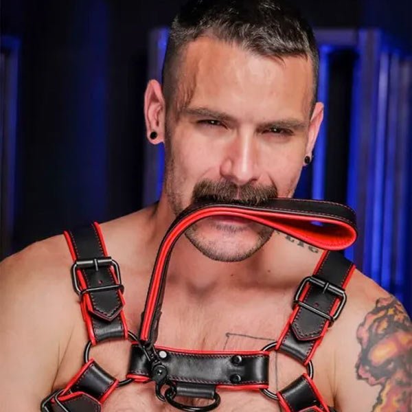 Mr.S Leather Hardline Leather Short Leash - 11 Colours