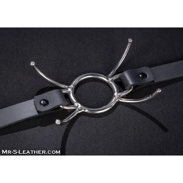 Mr.S Leather Spyder Gag