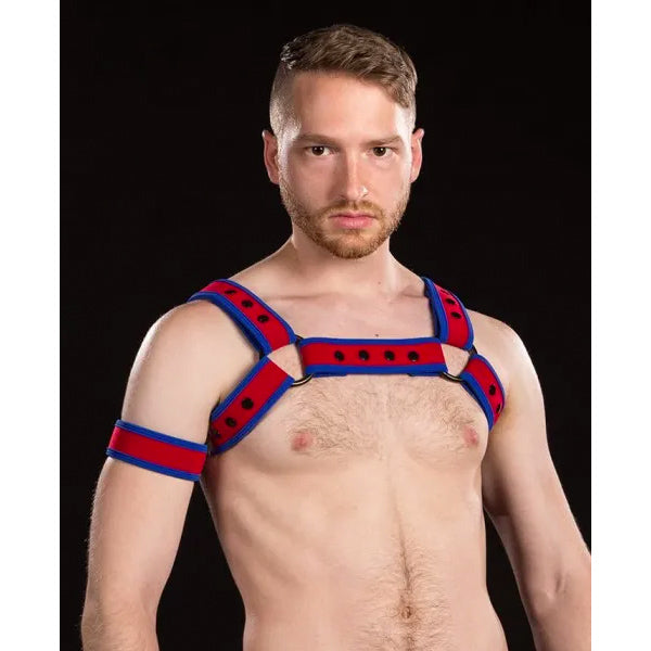 Build Your Own Neoprene Neo Bulldog Harness: