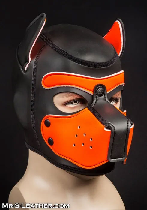 Build Your Own Neoprene PUPPY Hood | Sm / XL / XXL