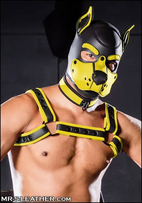 Build Your Own Neoprene K9 Hood | Small, XL or XXL