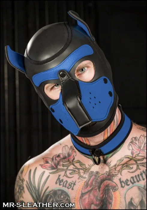 Build Your Own Neoprene PUPPY Hood | Sm / XL / XXL