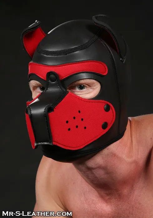 Build Your Own Neoprene PUPPY Hood | Sm / XL / XXL