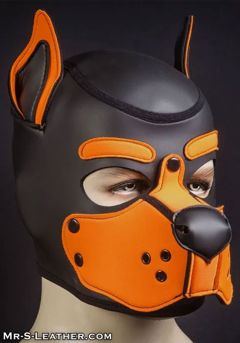Build Your Own Neoprene K9 Hood | Small, XL or XXL