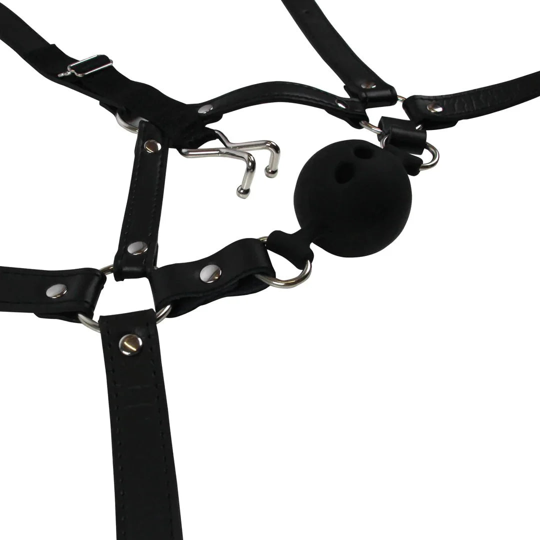 OUCH Head Harness with Breathable Ball Gag and Nose Hooks - Black