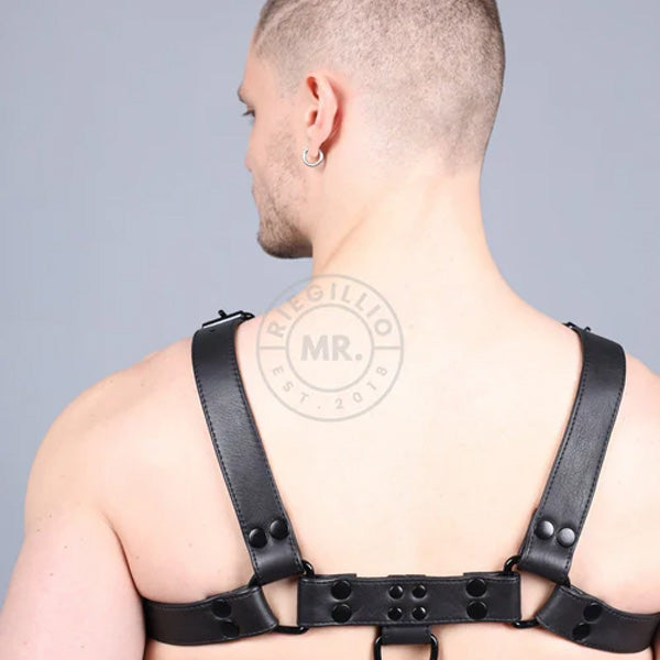 Riegillio Master of the House Leather Harness | Full Black | Black