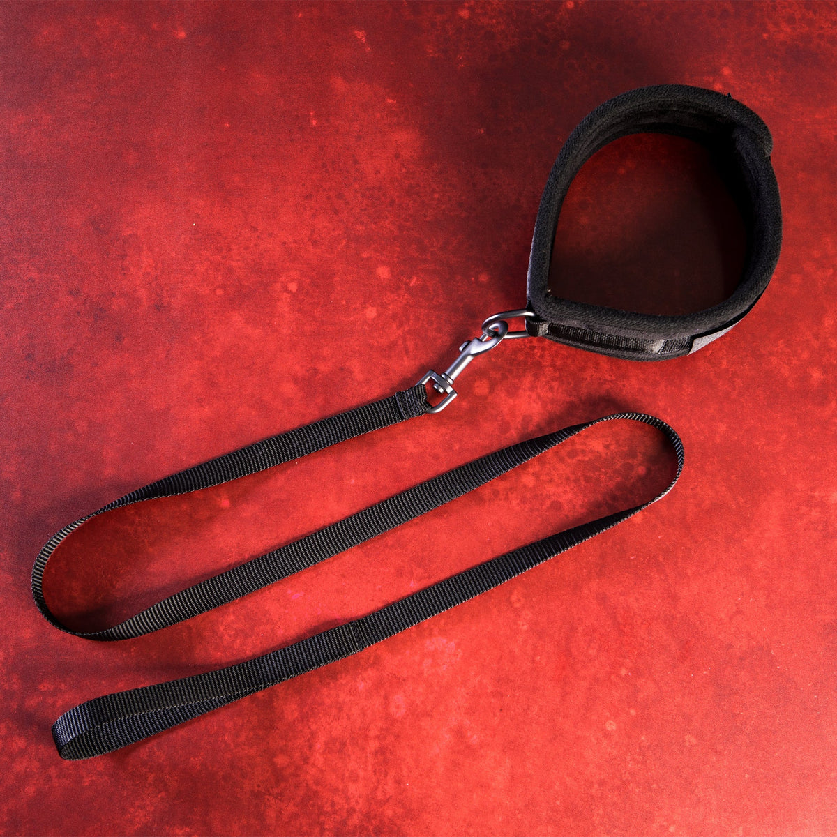 SEI MIO - Take the Lead - Padded Neck Collar and Leash