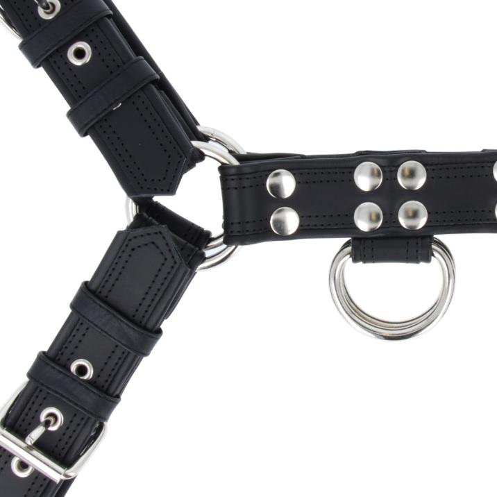 Titus Deluxe DOUBLE STITCHING H - Front Chest Harness | Leather