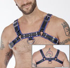 Titus H - Front Leather Chest Harness | Black & Blue