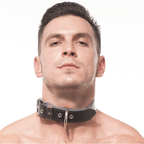 Titus Plain Leather Collar with D - Ring