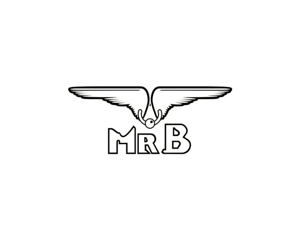 Mister B