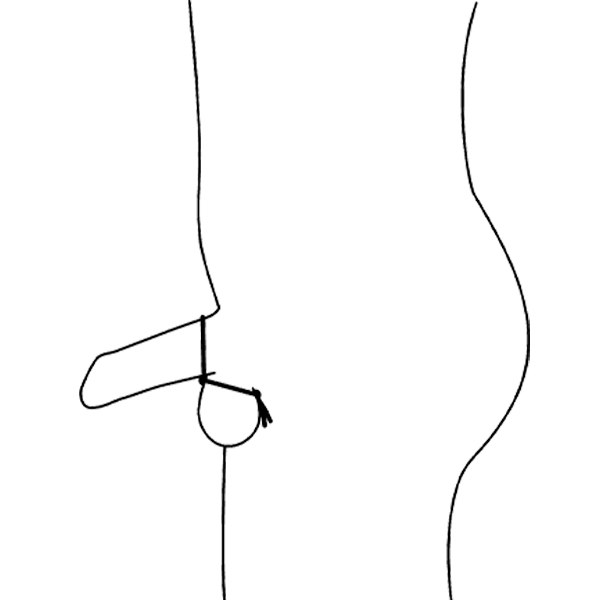 rotato image