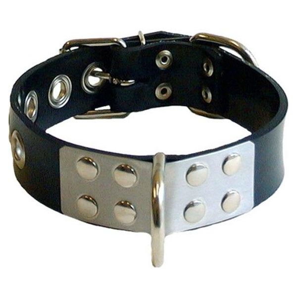 Mister B Rubber Slave Collar