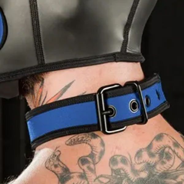 Mr S Leather NEO Puppy Collar Cobalt