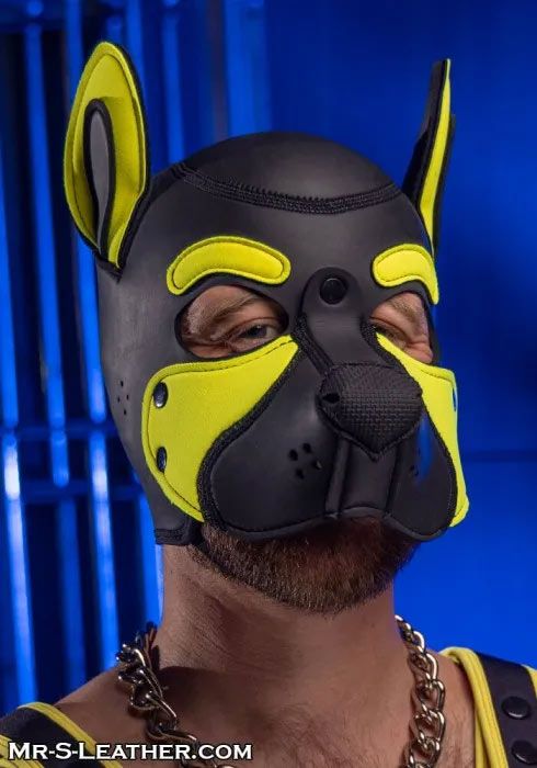 Neoprene FRISKY Puppy Hood | Small or Extra Large