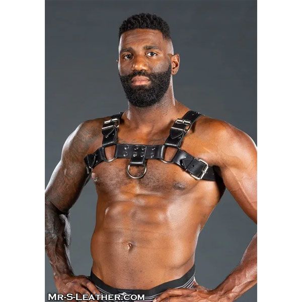 Mr. S Leather Bulldog Harness | Black