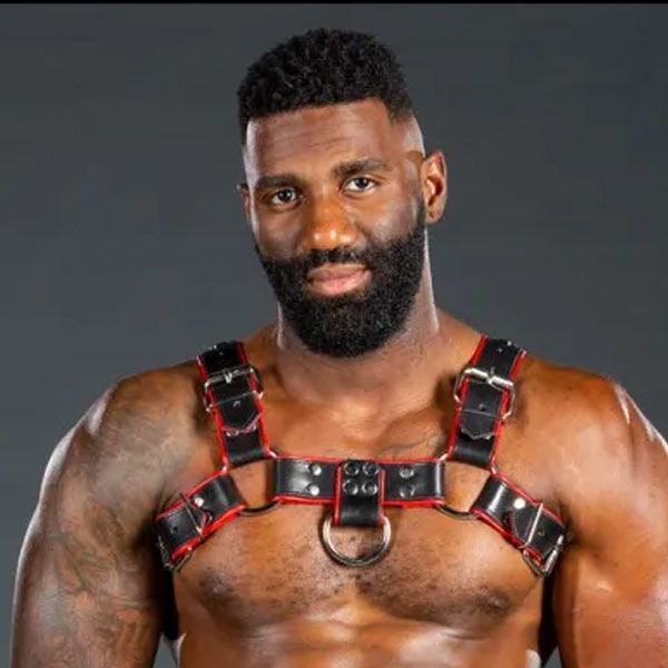 Mens leather bulldog harness outlet