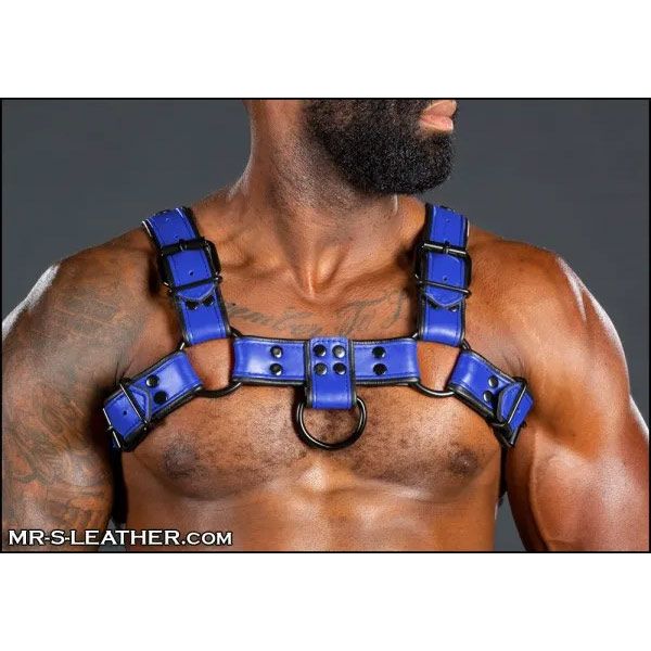 Mr.S Leather Dark Room Bulldog Harness | Blue