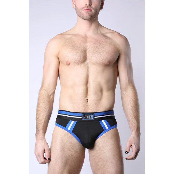 Cell Block 13 PUP TRON Brief | Blue