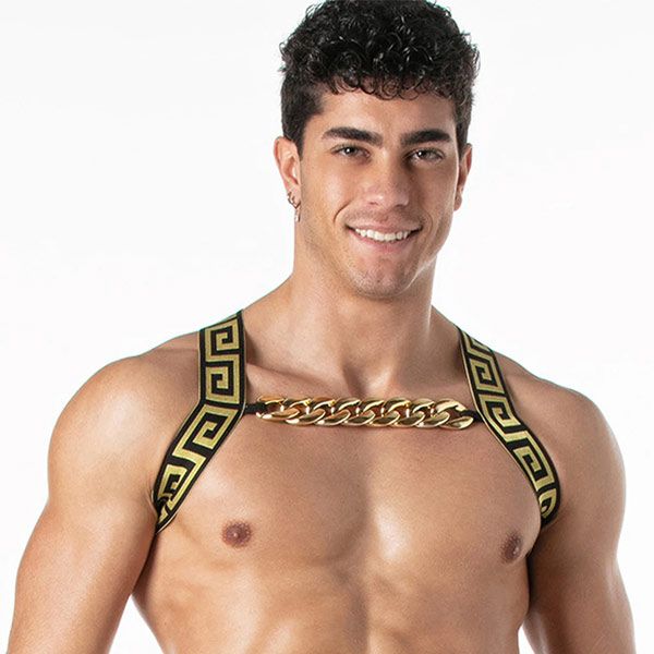 Leader Invictus Harness | Black Gold