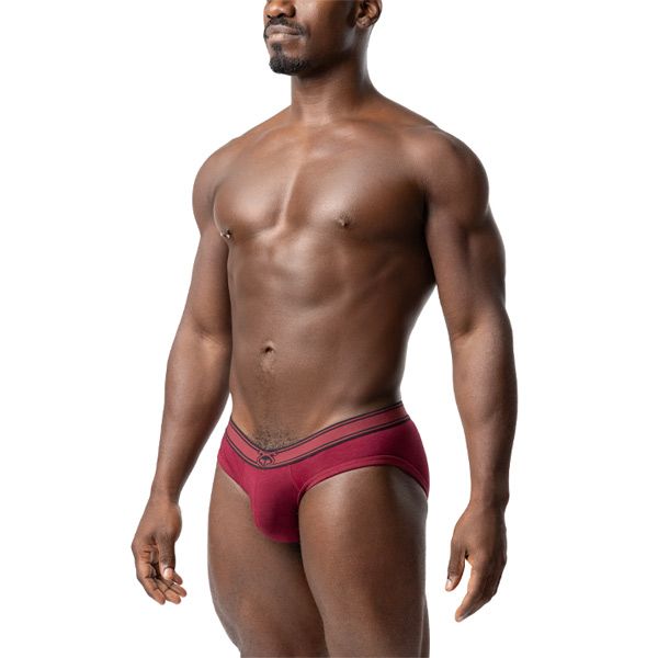 Nasty Pig CORE Bikini Brief | Dark Cardinal/Black