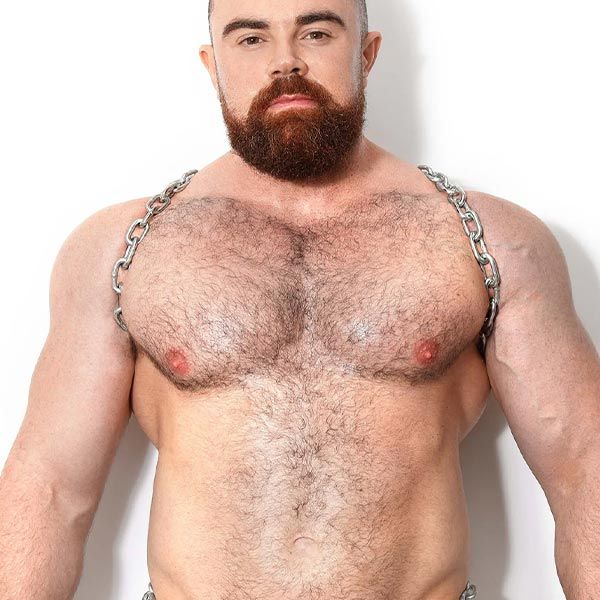 Dark Room Steel Shoulder Harness | Silver Steel