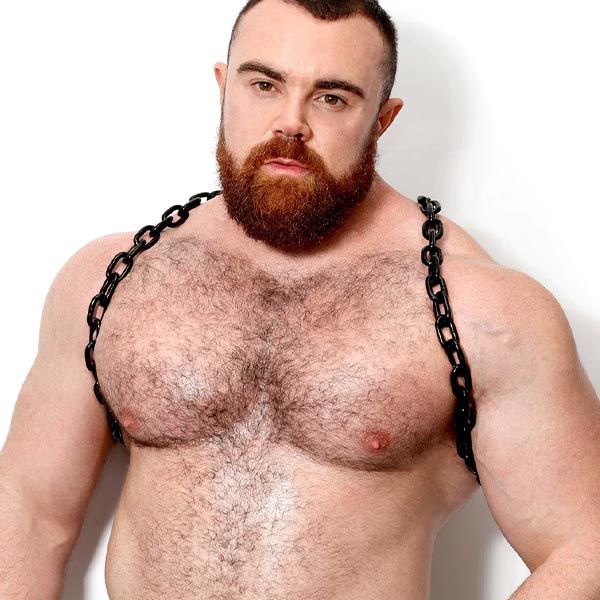 Dark Room Steel Shoulder Harness | Black Steel