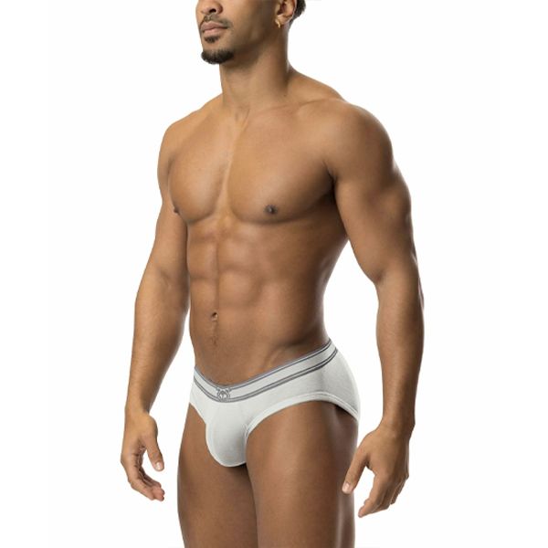 Nasty Pig CORE Bikini Brief Mirage | Grey/Castlerock