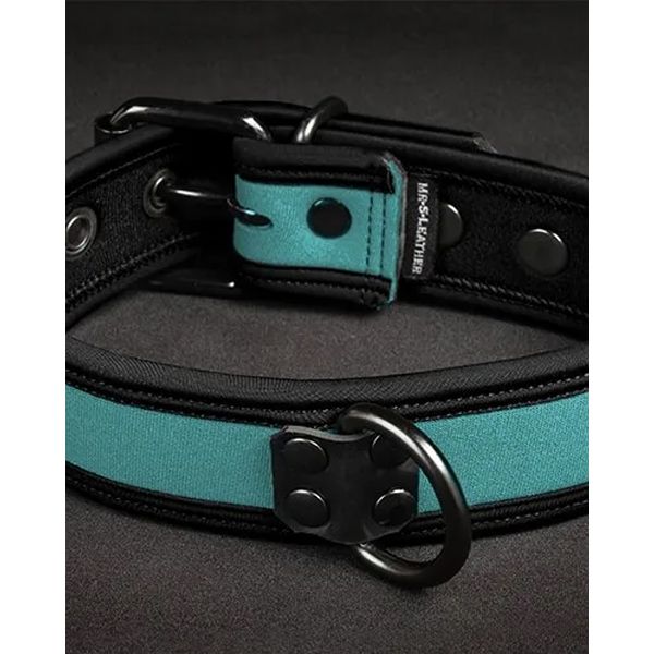Mr S Leather NEO Puppy Collar: Small to XXL |Aqua